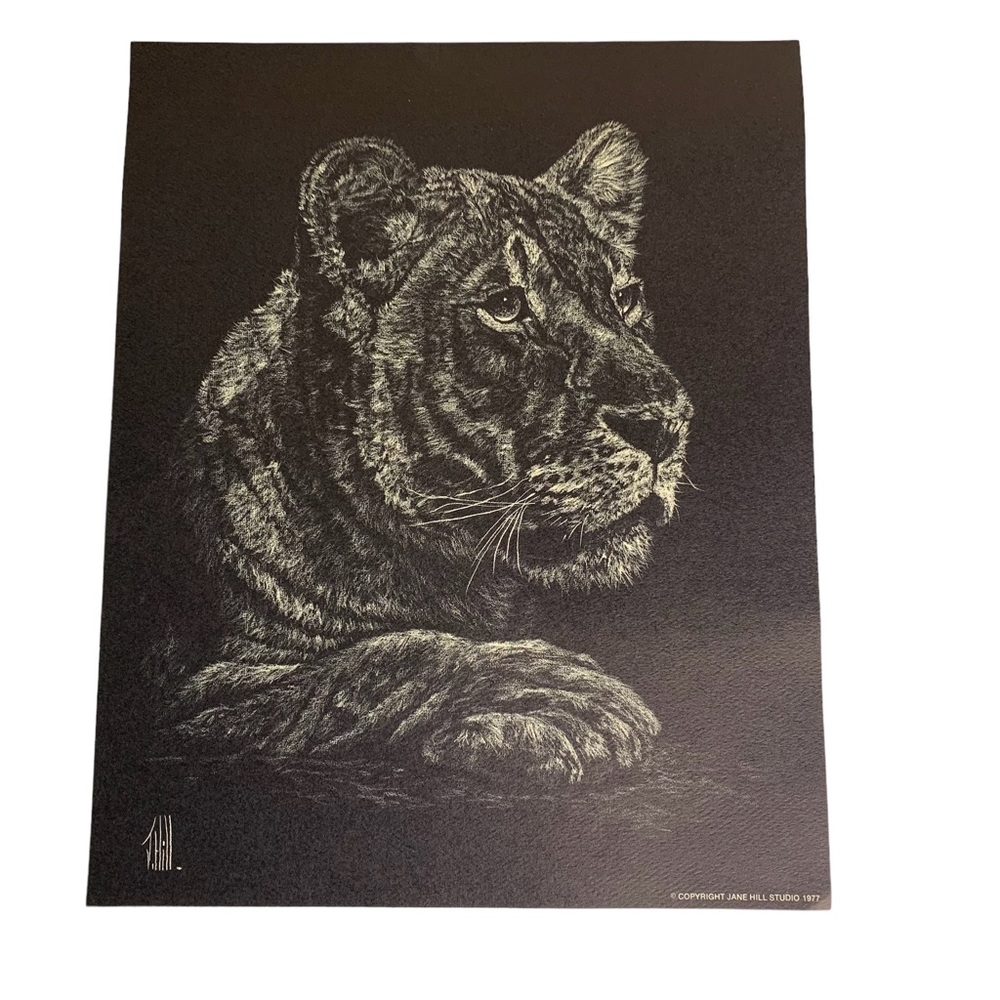 Tiger Signed Print By Jane Hill Studio Black & White Copyright 1977 Life Like